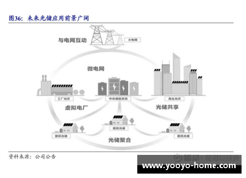 顶级球员位置优势分析及未来发展展望